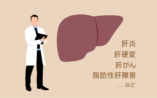 肝臓病とは：脂肪性肝障害、肝炎、肝硬変、肝がん　など